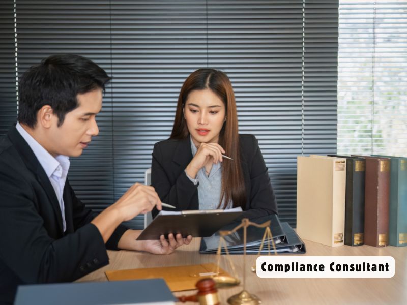 Compliance Consultant